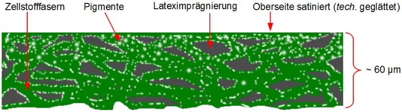 Papierquerschnitt